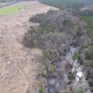Photo of UNDER CONTRACT!  150 Acres of Farm and Hunting Land For Sale in Sussex County VA!