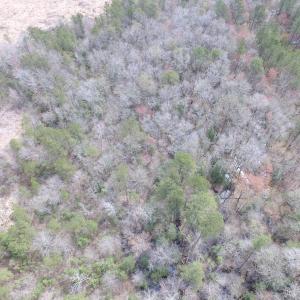 Photo of UNDER CONTRACT!  150 Acres of Farm and Hunting Land For Sale in Sussex County VA!