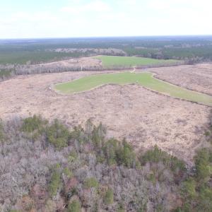 Photo of UNDER CONTRACT!  150 Acres of Farm and Hunting Land For Sale in Sussex County VA!