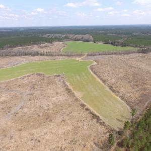 Photo of UNDER CONTRACT!  150 Acres of Farm and Hunting Land For Sale in Sussex County VA!