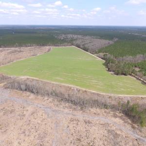 Photo of UNDER CONTRACT!  150 Acres of Farm and Hunting Land For Sale in Sussex County VA!