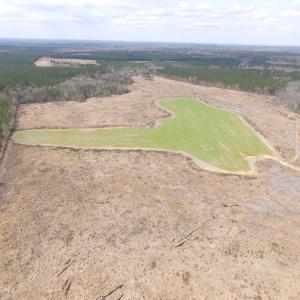 Photo of UNDER CONTRACT!  150 Acres of Farm and Hunting Land For Sale in Sussex County VA!