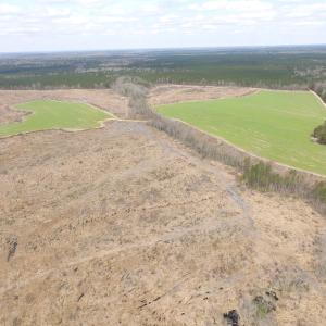 Photo of UNDER CONTRACT!  150 Acres of Farm and Hunting Land For Sale in Sussex County VA!