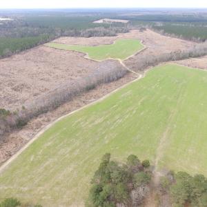 Photo of UNDER CONTRACT!  150 Acres of Farm and Hunting Land For Sale in Sussex County VA!