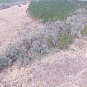 Photo of UNDER CONTRACT!  150 Acres of Farm and Hunting Land For Sale in Sussex County VA!