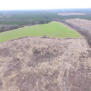 Photo of UNDER CONTRACT!  150 Acres of Farm and Hunting Land For Sale in Sussex County VA!