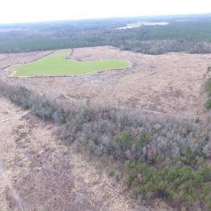 Photo of UNDER CONTRACT!  150 Acres of Farm and Hunting Land For Sale in Sussex County VA!