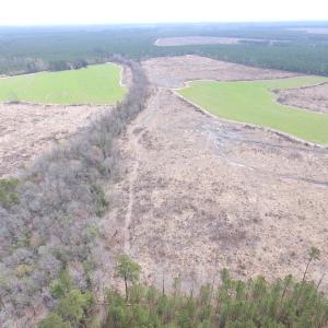 Photo of UNDER CONTRACT!  150 Acres of Farm and Hunting Land For Sale in Sussex County VA!
