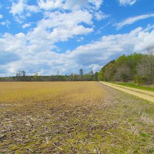 Photo of UNDER CONTRACT!  150 Acres of Farm and Hunting Land For Sale in Sussex County VA!