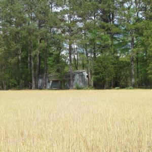 Photo of UNDER CONTRACT!  150 Acres of Farm and Hunting Land For Sale in Sussex County VA!