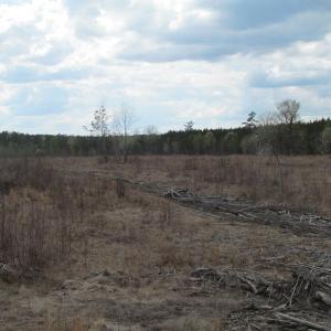 Photo of UNDER CONTRACT!  150 Acres of Farm and Hunting Land For Sale in Sussex County VA!