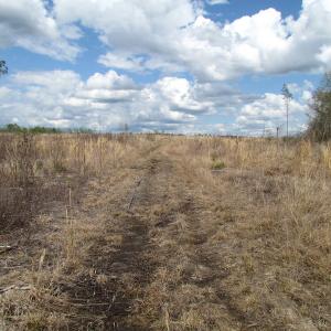 Photo of UNDER CONTRACT!  150 Acres of Farm and Hunting Land For Sale in Sussex County VA!