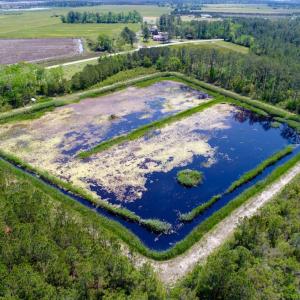 Photo of UNDER CONTRACT!  Duck Impoundment and Hunting Land For Sale in Pamlico County NC!