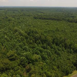 Photo of UNDER CONTRACT!  25.04 Acres of Hunting Land For Sale in Warren County NC!