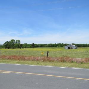 Photo of UNDER CONTRACT!  113 Acres of Farm and Timber Land For Sale in Robeson County NC!