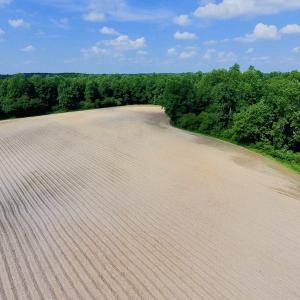 Photo of UNDER CONTRACT!  22.63 Acres of Farm and Hunting Land For Sale in Wilson County NC!