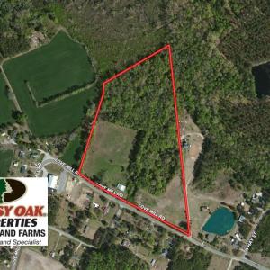 Photo of UNDER CONTRACT!  20.46 Acres of Pasture and Timber Land For Sale in Columbus County NC!