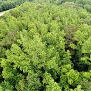 Photo of UNDER CONTRACT!  13 Acres of Rural Residential Land For Sale in Pitt County NC!