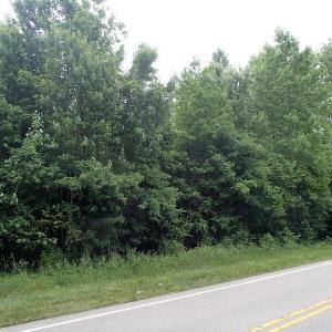 Photo of UNDER CONTRACT!  40 Acres of Timber Land For Sale in Warren County NC!