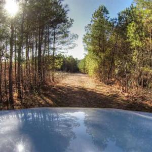 Photo of SOLD!  761 Acres of Hunting Land For Sale in Accomack County VA!