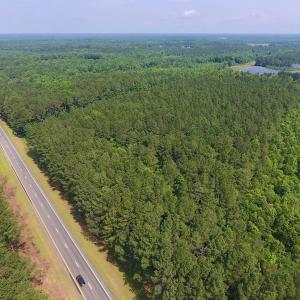 Photo of UNDER CONTRACT!  30 Acres of Timber and Hunting Land For Sale in Nash County NC!