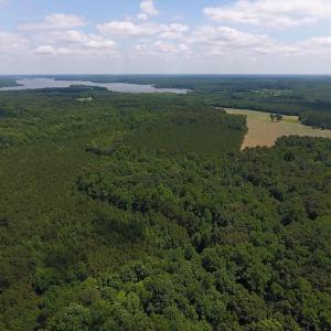 Photo of UNDER CONTRACT!  24.5 Acres of Hunting and Timber Land for Sale in Nash County NC!