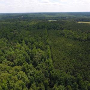 Photo of UNDER CONTRACT!  24.5 Acres of Hunting and Timber Land for Sale in Nash County NC!