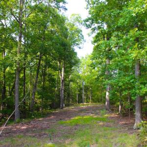 Photo of UNDER CONTRACT! 15 Acres of Residential Land For Sale in Chatham County NC!