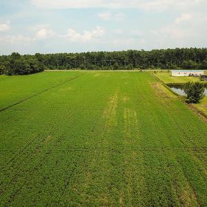 Photo of SOLD!  7 Acres of Residential and Farm Land For Sale in Tyrrell County NC!