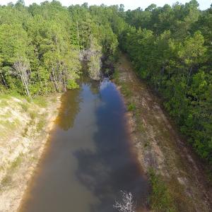 Photo of UNDER CONTRACT!  16 Acres of Hunting and Timber Land For Sale in Columbus County NC!