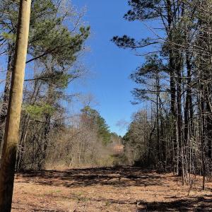 Photo of UNDER CONTRACT!  11.77 Acres of Residential and Hunting land for Sale in Harnett County, NC!