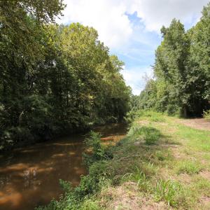 Photo of UNDER CONTRACT!  47 Acres of Timber and Hunting Land For Sale in Pitt County NC!