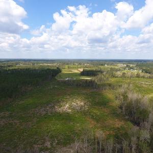 Photo of UNDER CONTRACT!  46 Acres of Farm and Timber Land for Sale in Columbus County NC!
