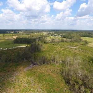Photo of UNDER CONTRACT!  46 Acres of Farm and Timber Land for Sale in Columbus County NC!