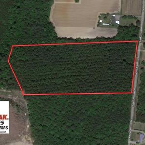 Photo of UNDER CONTRACT!  14.72 Acres of Recreational and Residential Land For Sale in Johnston County NC!