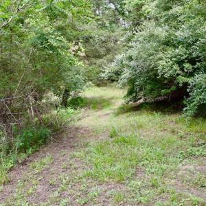 Photo of SOLD!!  1.24 Acres of Lakefront Residential Land For Sale in Bedford County VA!