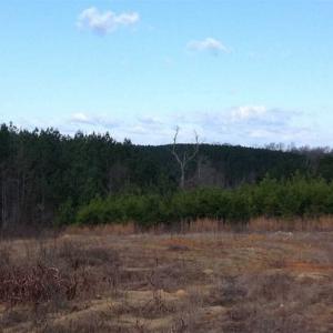 Photo of SOLD!!  54 Acres of Hunting Land for Sale in Halifax County VA!