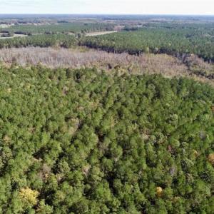 Photo of SOLD!!  257 Acres of Farm and Timber Land For Sale in Northampton County NC!