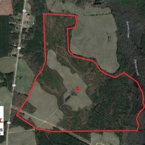 Photo of SOLD!!  257 Acres of Farm and Timber Land For Sale in Northampton County NC!