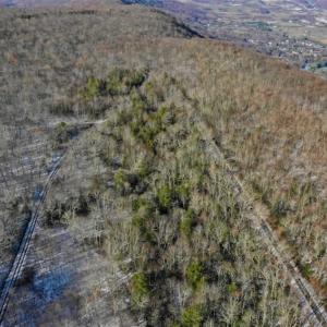 Photo of UNDER CONTRACT!!  208 Acres of Hunting and Recreational Land For Sale in Bland County VA!