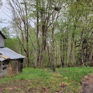 Photo of SOLD!!  39 Acres of Residential Hunting Land For Sale in Halifax County VA!