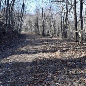 Photo of SOLD!!  6 Acres of Hunting and Residential Land For Sale in Franklin County VA!