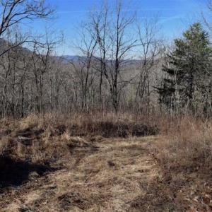 Photo of SOLD!!  6 Acres of Hunting and Residential Land For Sale in Franklin County VA!