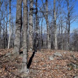 Photo of SOLD!!  81 Acres of Hunting and Recreational Land For Sale in Franklin County VA!