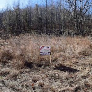 Photo of SOLD!!  81 Acres of Hunting and Recreational Land For Sale in Franklin County VA!