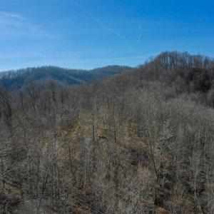 Photo of SOLD!!  81 Acres of Hunting and Recreational Land For Sale in Franklin County VA!