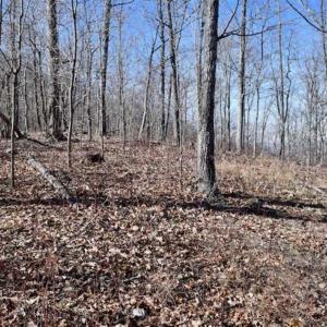 Photo of SOLD!!  81 Acres of Hunting and Recreational Land For Sale in Franklin County VA!