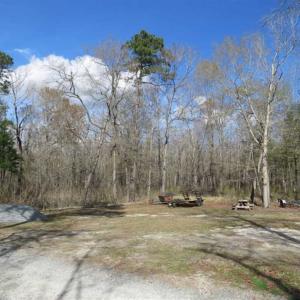 Photo of UNDER CONTRACT!!  21 Acres of Residential and Hunting Land in Pender County NC!