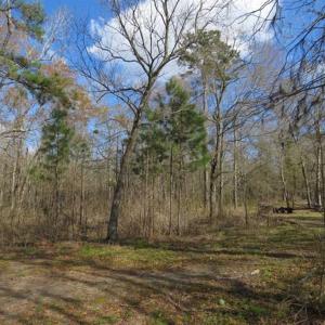 Photo of UNDER CONTRACT!!  21 Acres of Residential and Hunting Land in Pender County NC!