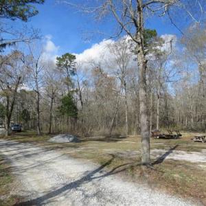 Photo of UNDER CONTRACT!!  21 Acres of Residential and Hunting Land in Pender County NC!